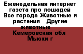 Еженедельная интернет - газета про лошадей - Все города Животные и растения » Другие животные   . Кемеровская обл.,Мыски г.